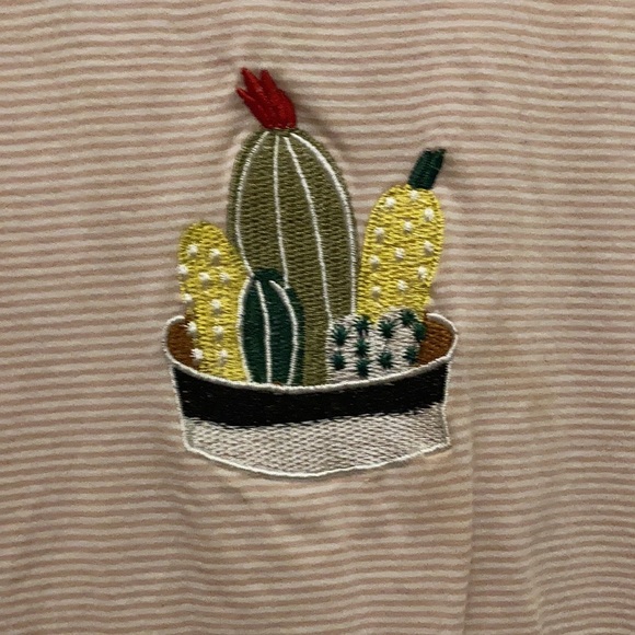 Cactus top. - Picture 3 of 3